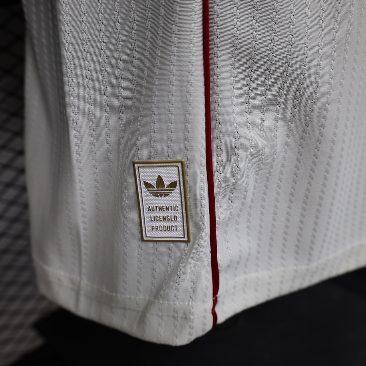 France White 2026 - الصورة 4